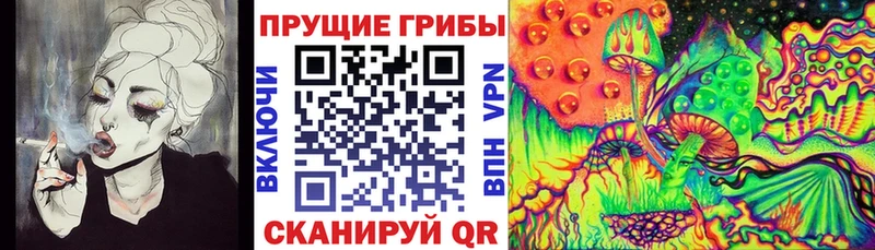 Галлюциногенные грибы Cubensis Певек